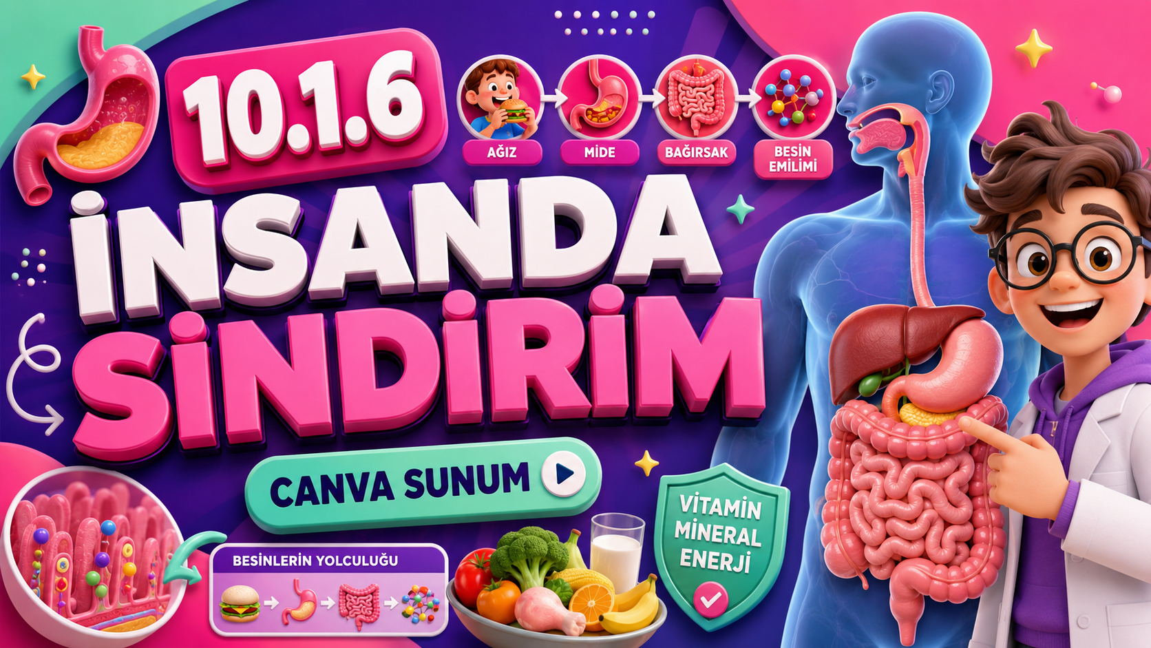BİY.10.1.6. İnsanda enerji eldesi için sindirim, emilim ve taşıma süreçlerinin gerekliliği ile ilgili bilimsel çıkarım yapabilme - Canva Linki kapak görseli