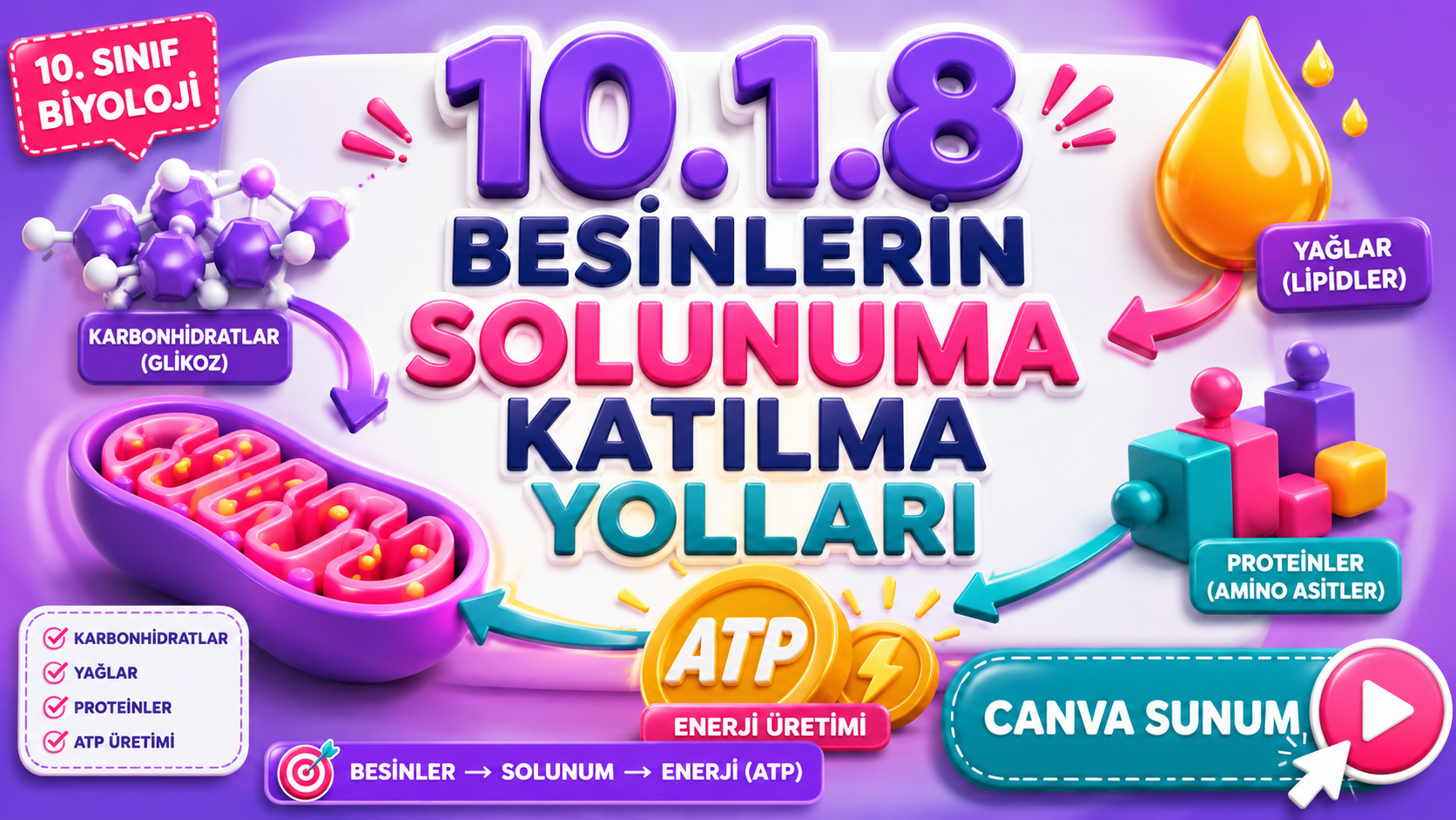 BİY.10.1.8. Farklı besin gruplarından enerji eldesi süreçlerini karşılaştırabilme - Canva Linki kapak görseli