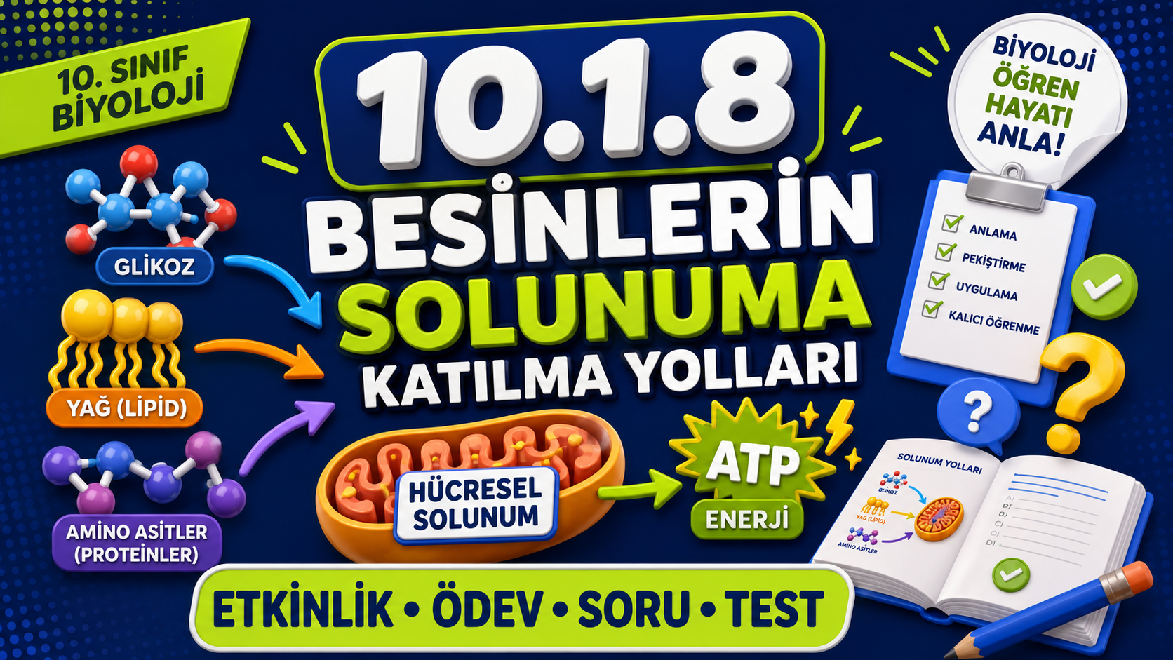 10.1.8 ETKİNLİK ÖDEV - Bağlam Temelli Test kapak görseli