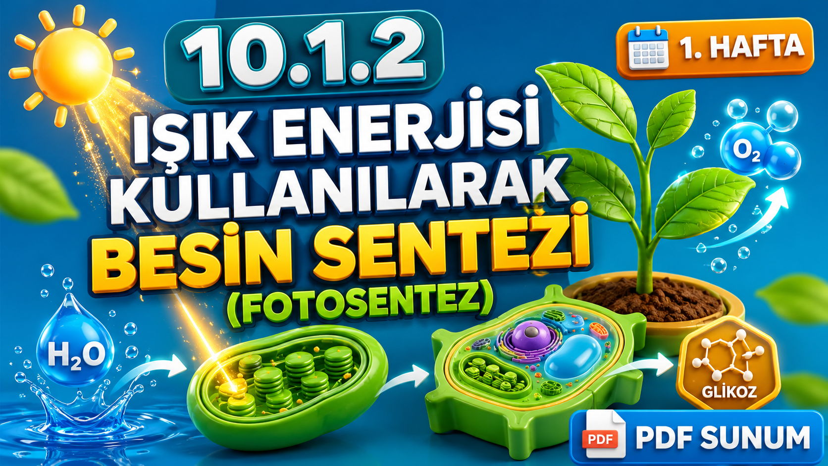 BİY.10.1.2. Fotosentez reaksiyonlarıyla ilgili bilimsel model oluşturabilme - PDF Konu Anlatımı kapak görseli