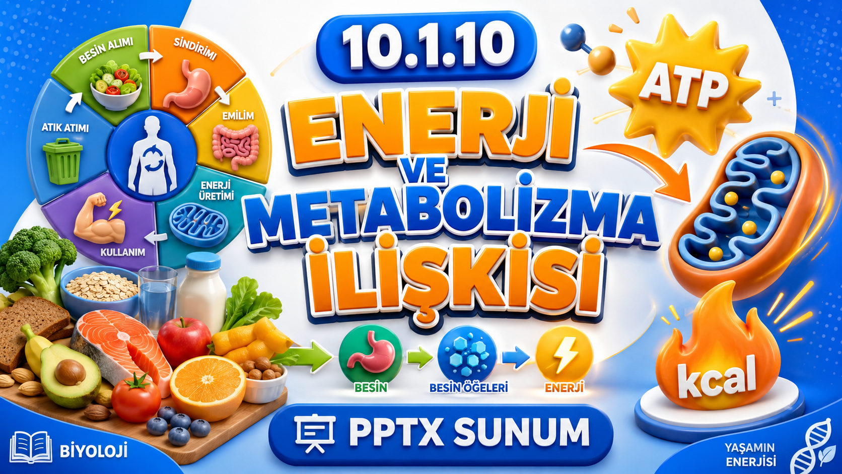 BİY.10.1.10. Besinlerden elde edilen enerjinin canlının metabolik süreçlerine katkısı ile ilgili bilimsel çıkarım yapabilme - PowerPoint Sunu kapak görseli