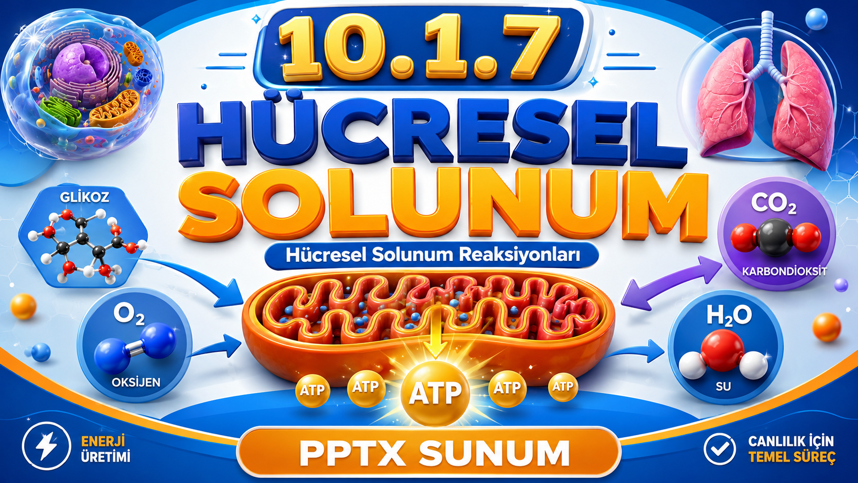 BİY.10.1.7. Hücresel solunum reaksiyonlarıyla ilgili bilimsel model oluşturabilme - PowerPoint Sunu kapak görseli