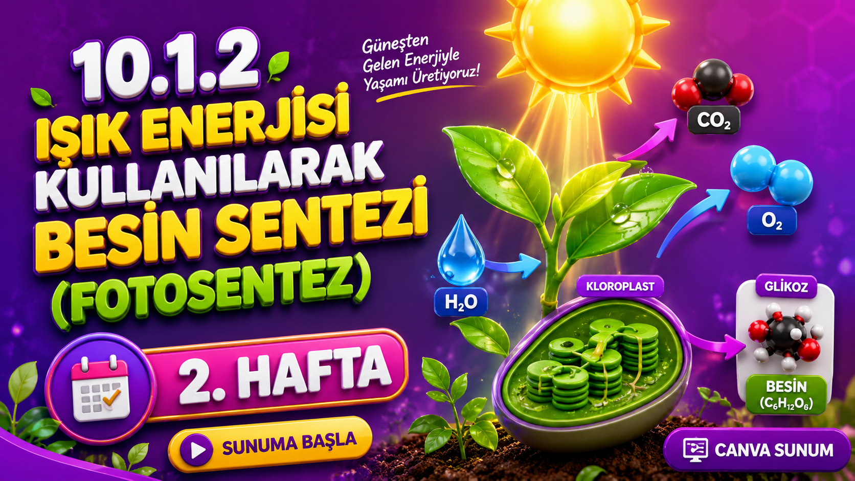 BİY.10.1.2. Fotosentez reaksiyonlarıyla ilgili bilimsel model oluşturabilme - Canva Linki kapak görseli