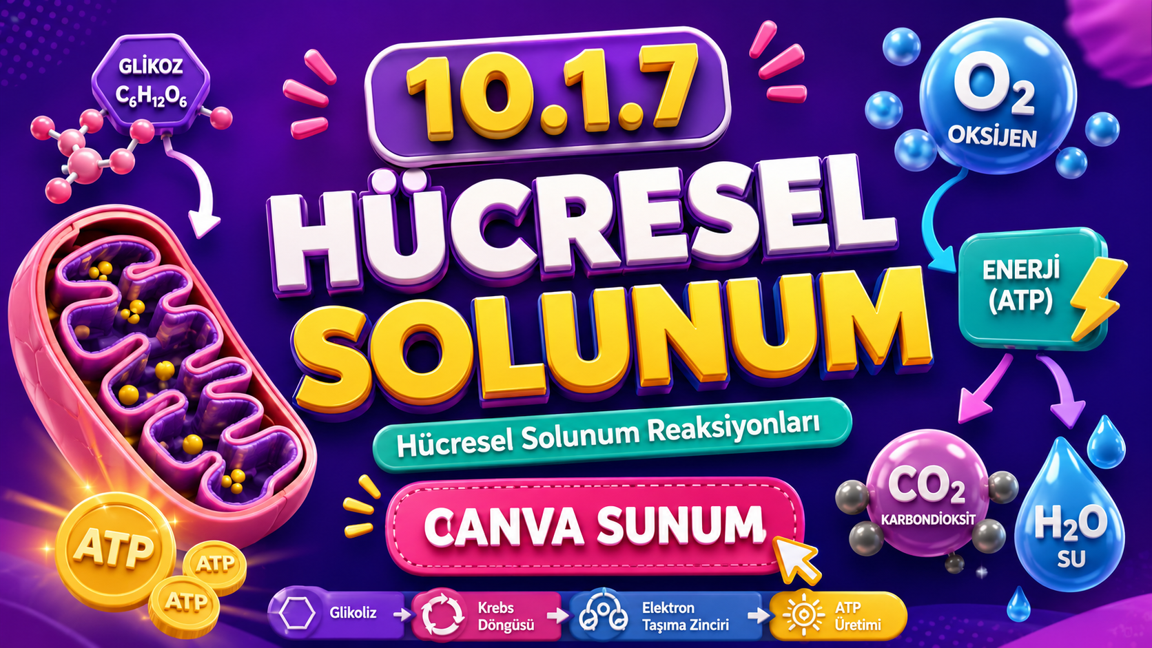 BİY.10.1.7. Hücresel solunum reaksiyonlarıyla ilgili bilimsel model oluşturabilme - Canva Linki kapak görseli