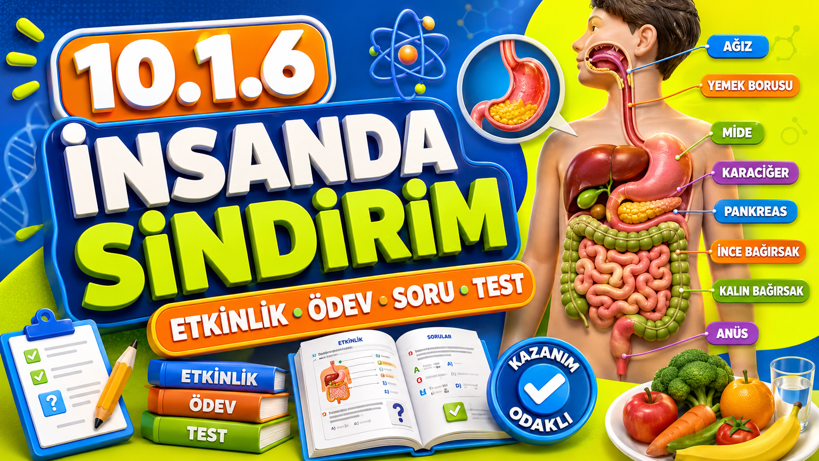 ÖDEV ETKİNLİK - Bağlam Temelli Test kapak görseli