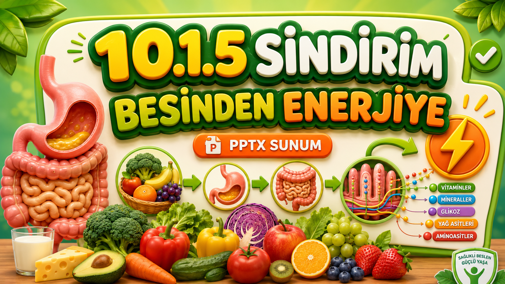 BİY.10.1.5. Canlılarda sindirim çeşitlerini ve yapılarını sınıflandırabilme - PowerPoint Sunu kapak görseli