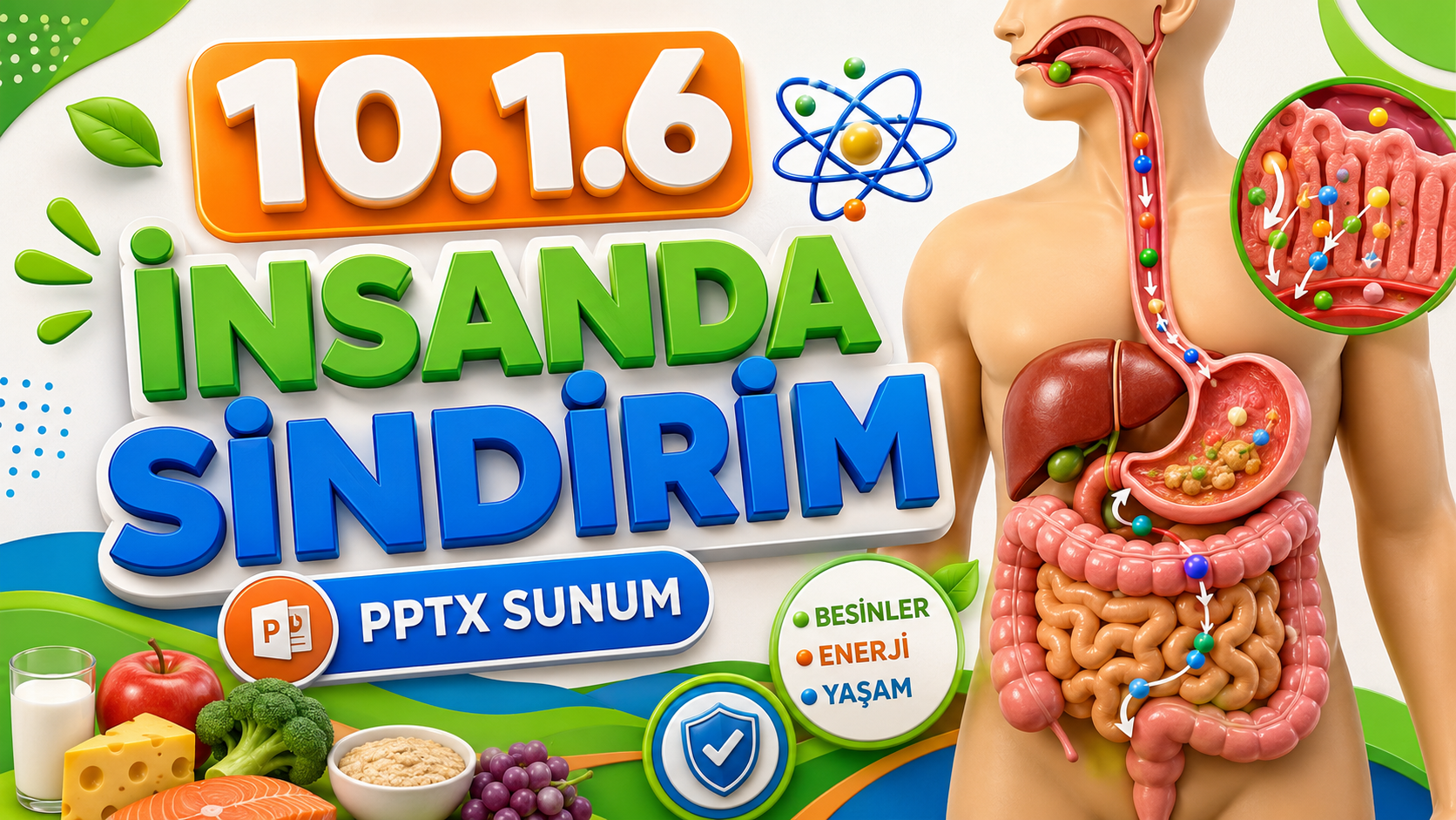 BİY.10.1.6. İnsanda enerji eldesi için sindirim, emilim ve taşıma süreçlerinin gerekliliği ile ilgili bilimsel çıkarım yapabilme - PowerPoint Sunu kapak görseli