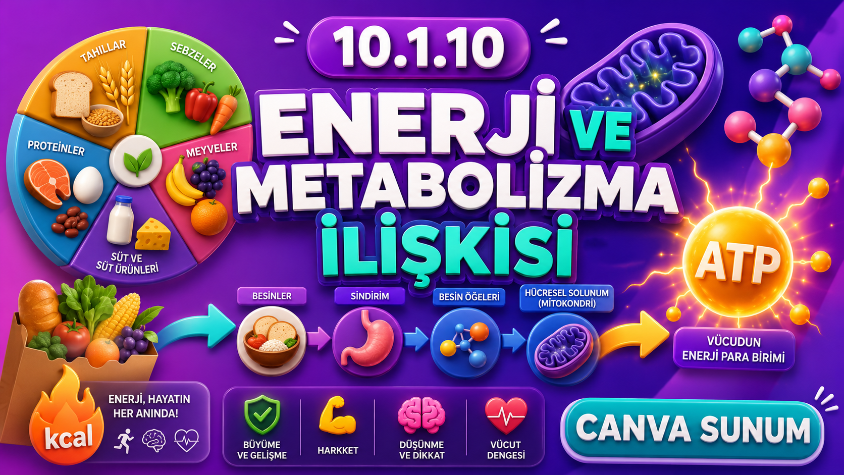 BİY.10.1.10. Besinlerden elde edilen enerjinin canlının metabolik süreçlerine katkısı ile ilgili bilimsel çıkarım yapabilme - Canva Linki kapak görseli