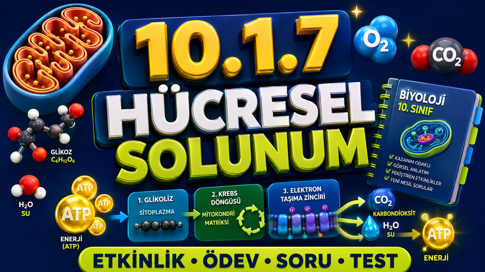 ETKİNLİK ÖDEV - Bağlam Temelli Test kapak görseli